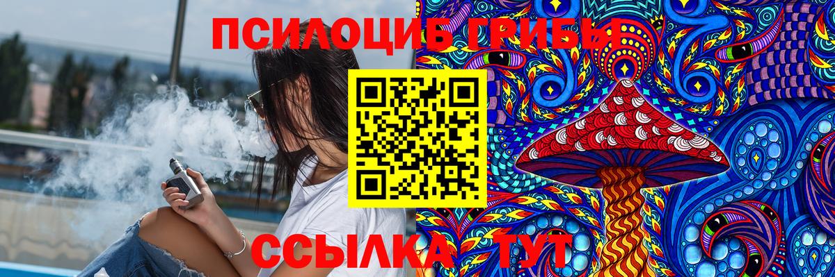 Псилоцибиновые грибы мицелий Баксан