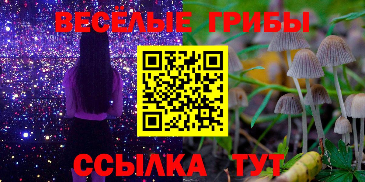 ГАШ Баксан