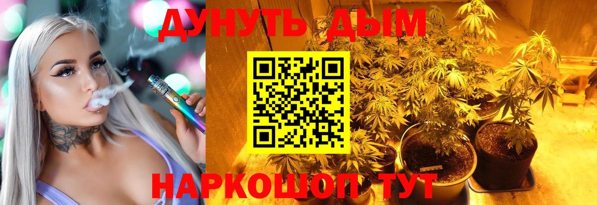 Баксан  Марихуана Amnesia  Бошки марихуана конопля  Марихуана план  Вход с VPN  Каннабис планчик 